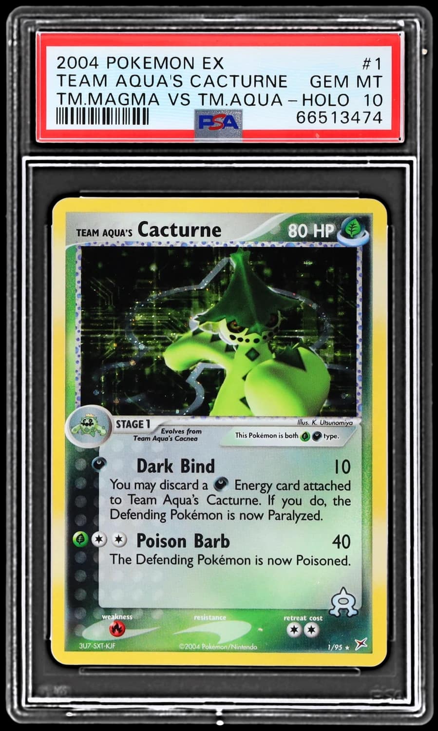 Aqua'S Cacturne