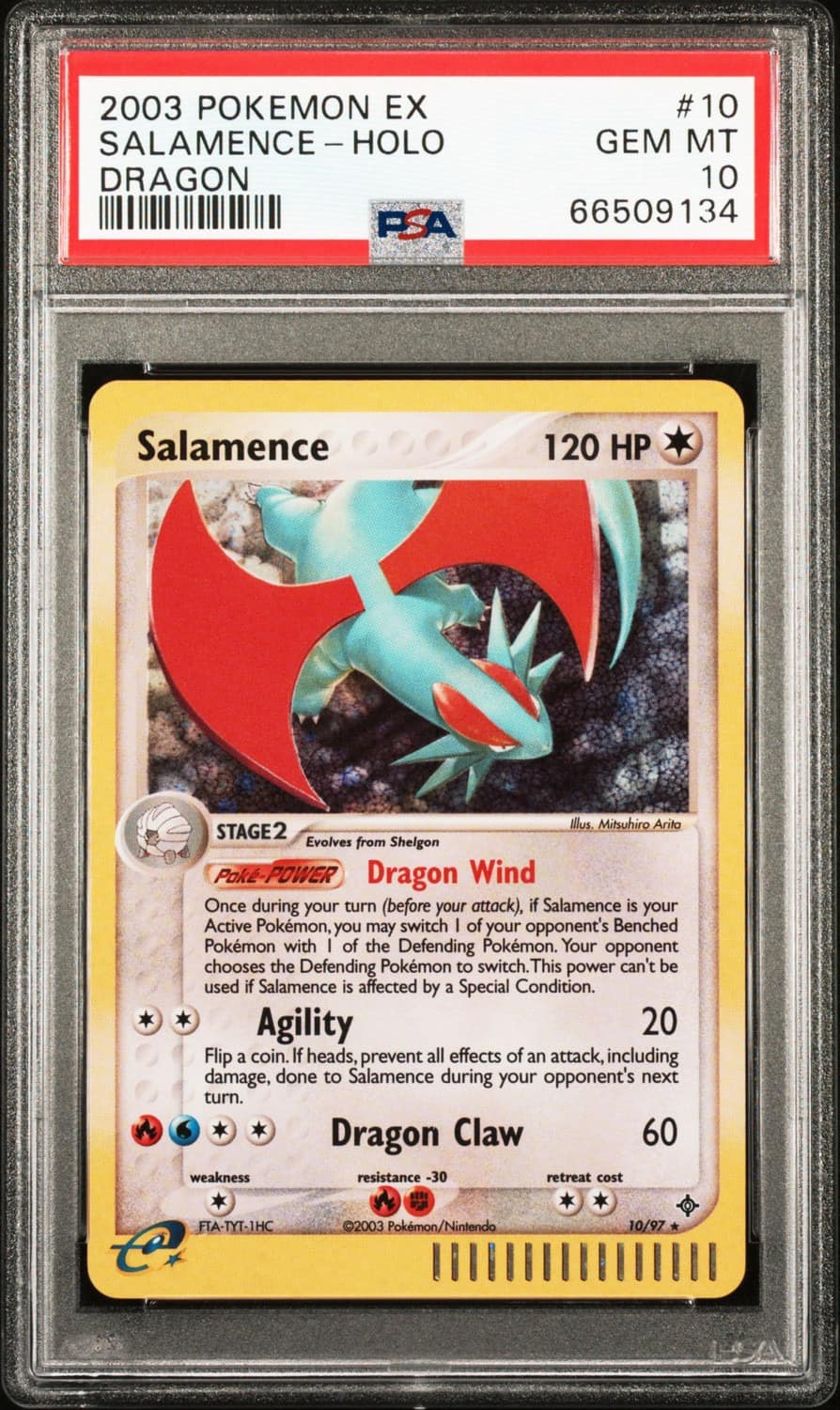 Salamence