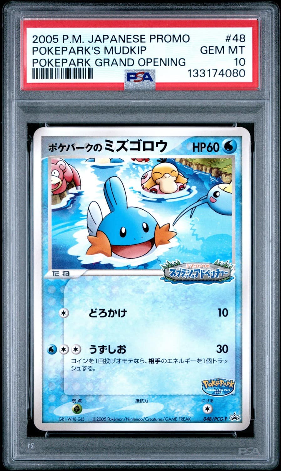 Pokepark'S Mudkip
