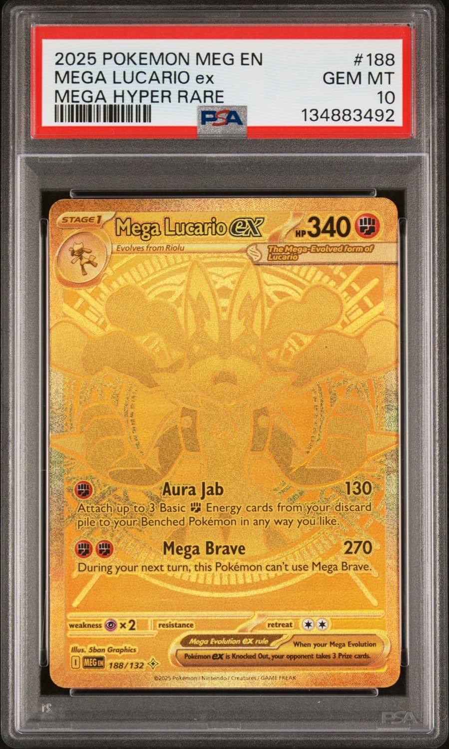 Mega Lucario Ex