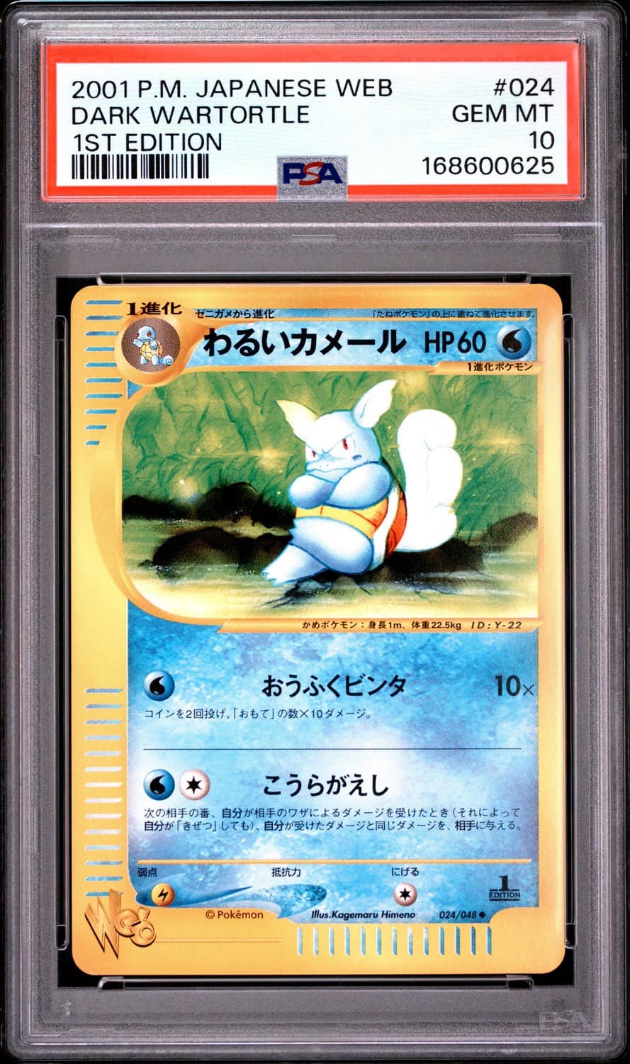 Dark Wartortle