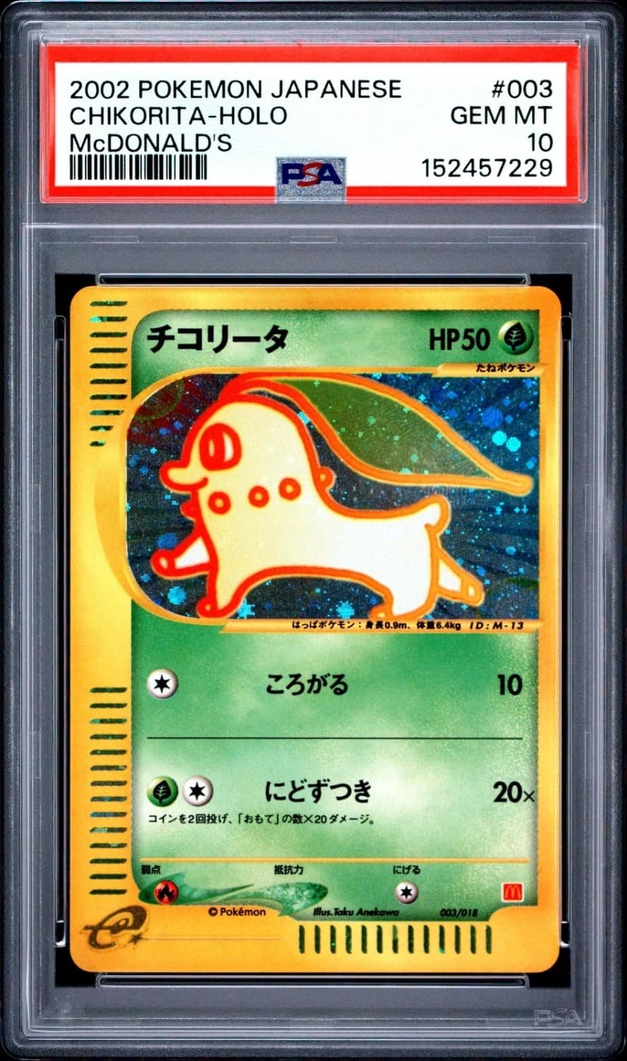 Chikorita