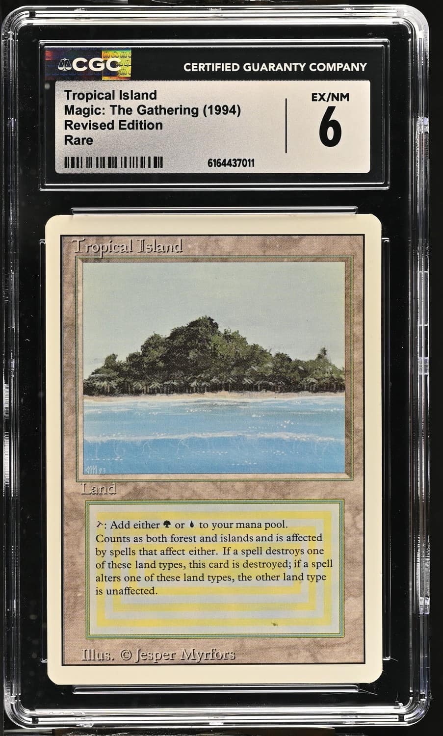 Tropical Island
