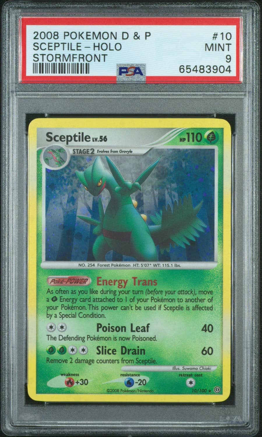 Sceptile