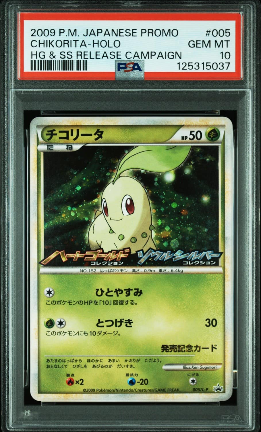 Chikorita