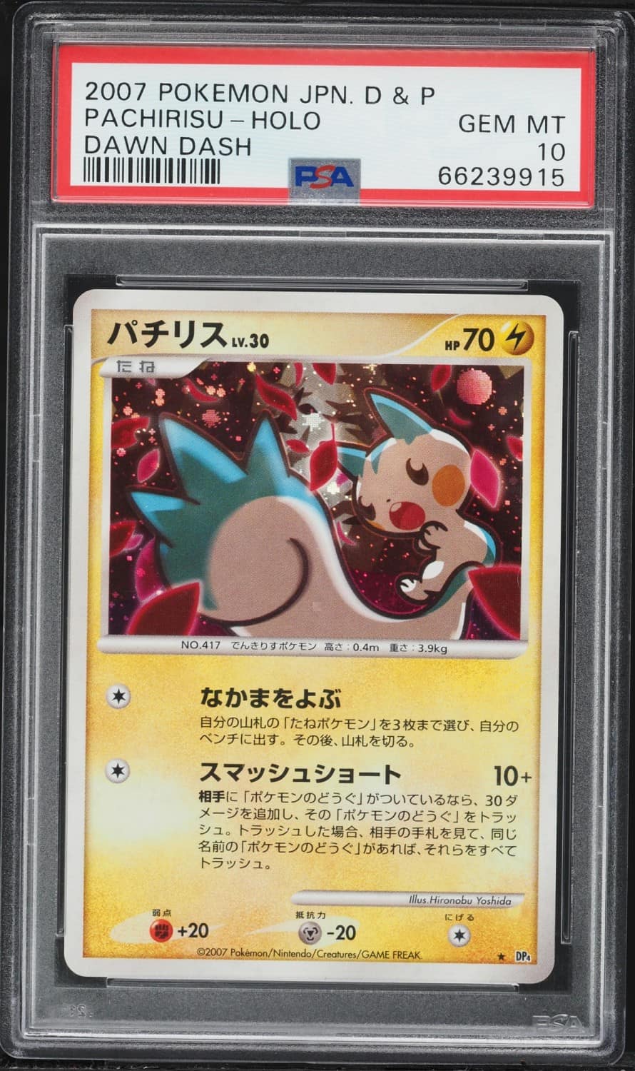 Pachirisu