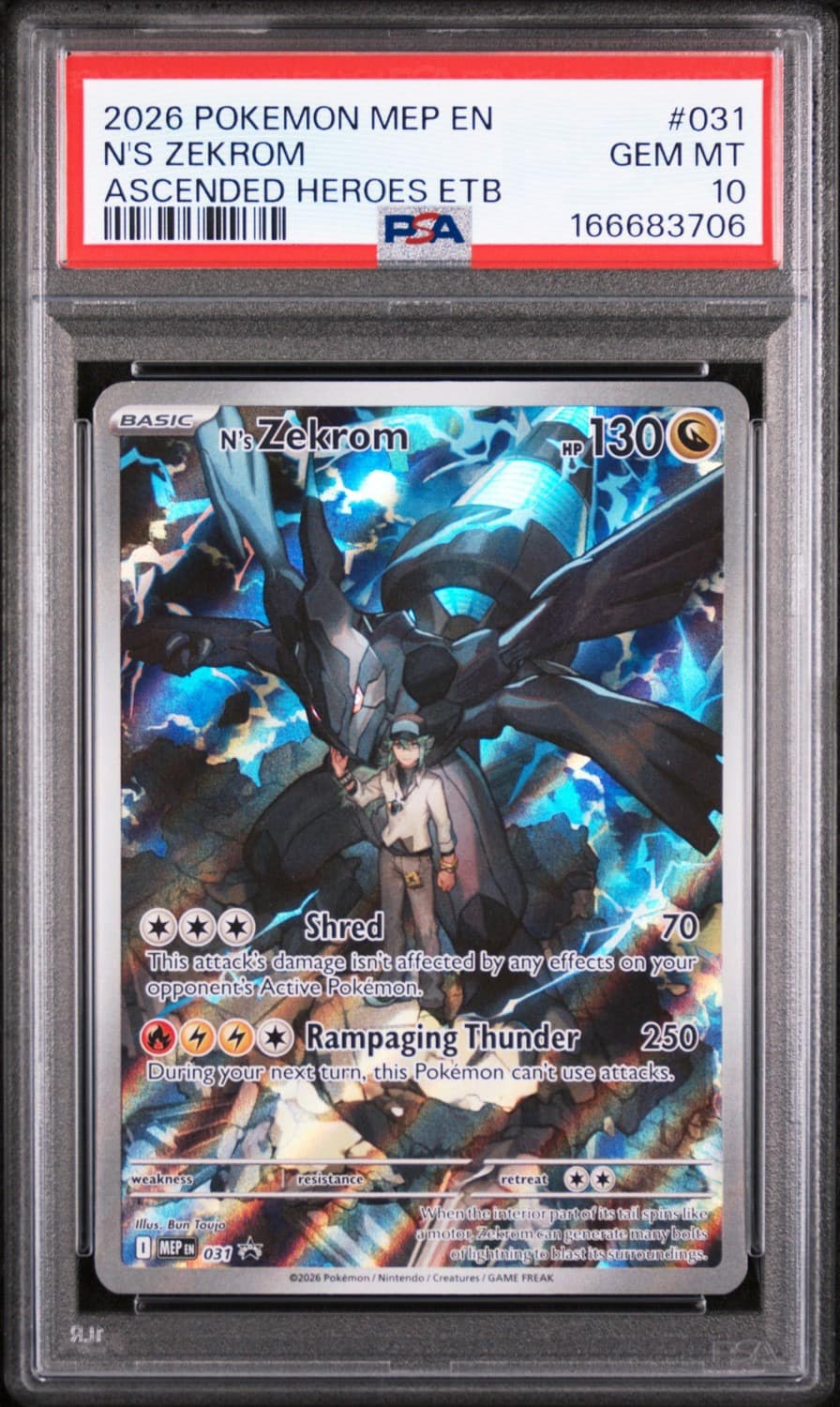 N'S Zekrom