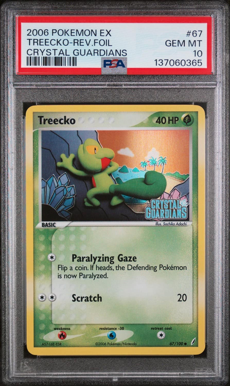 Treecko Ex