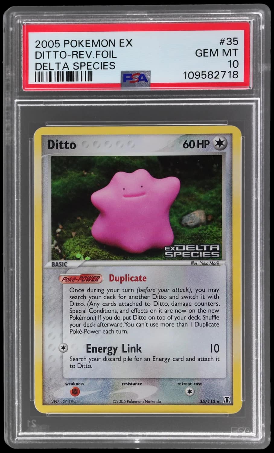 Ditto
