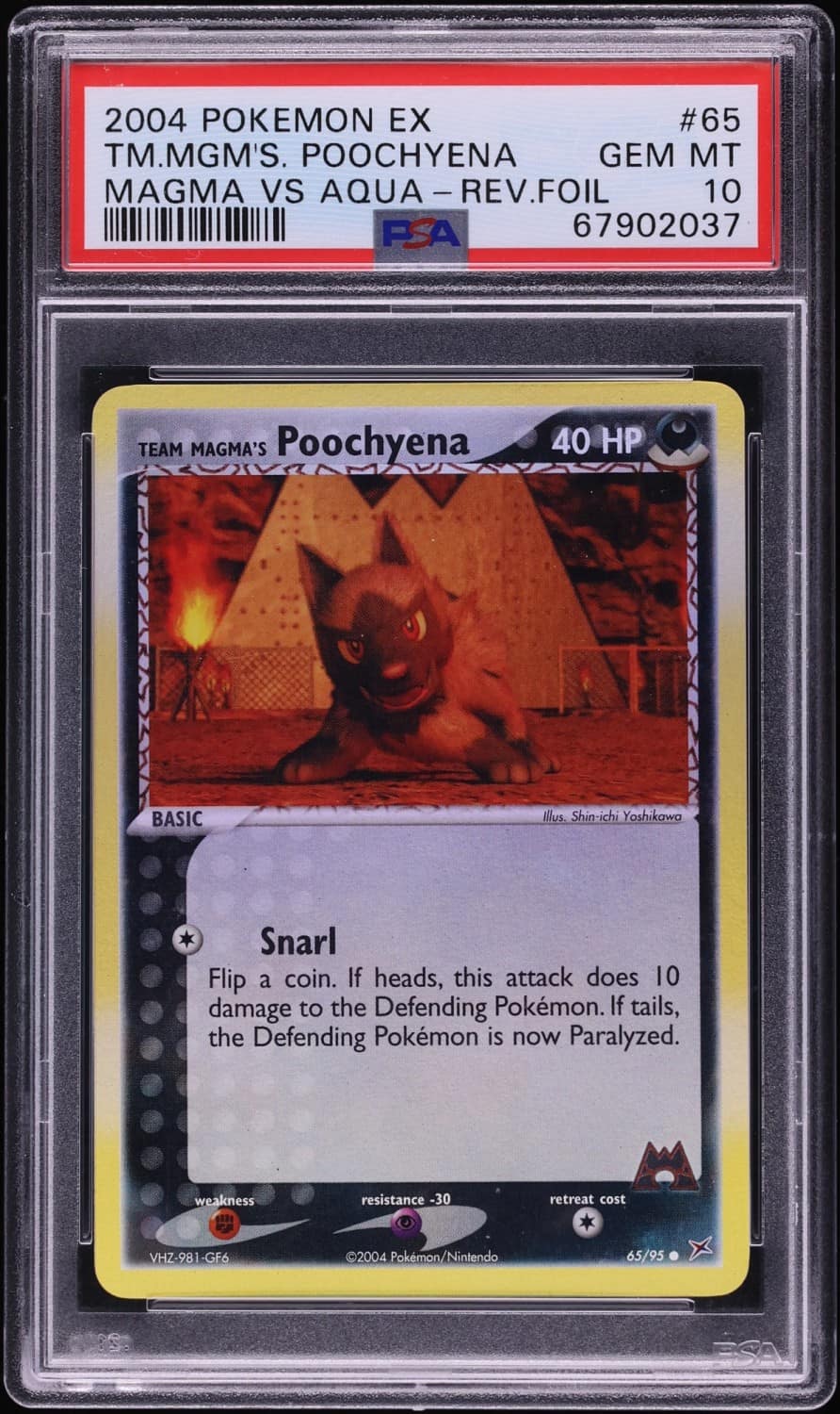 Team Magma'S Poochyena