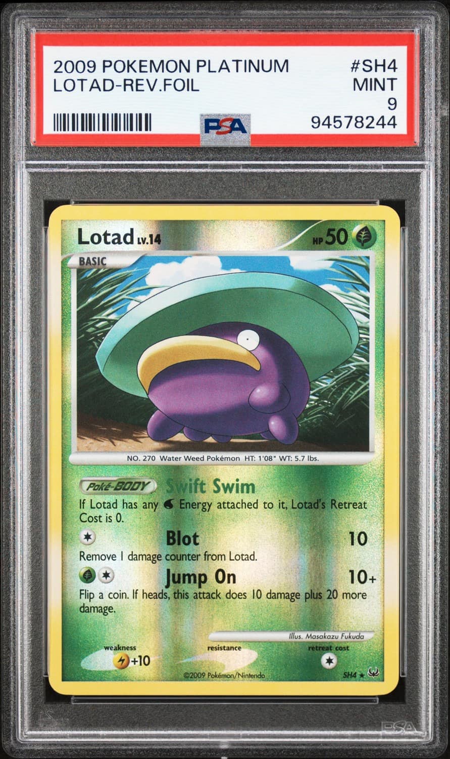 Lotad