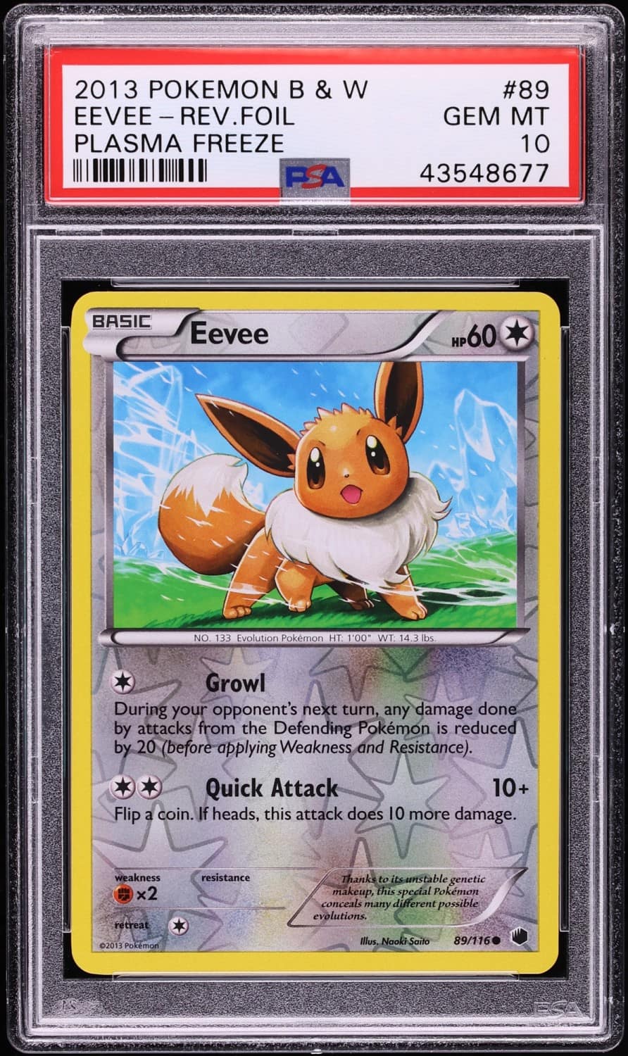 Eevee
