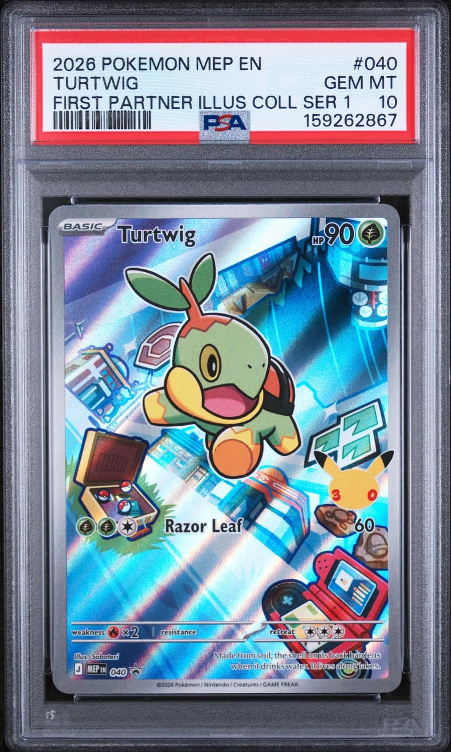Turtwig