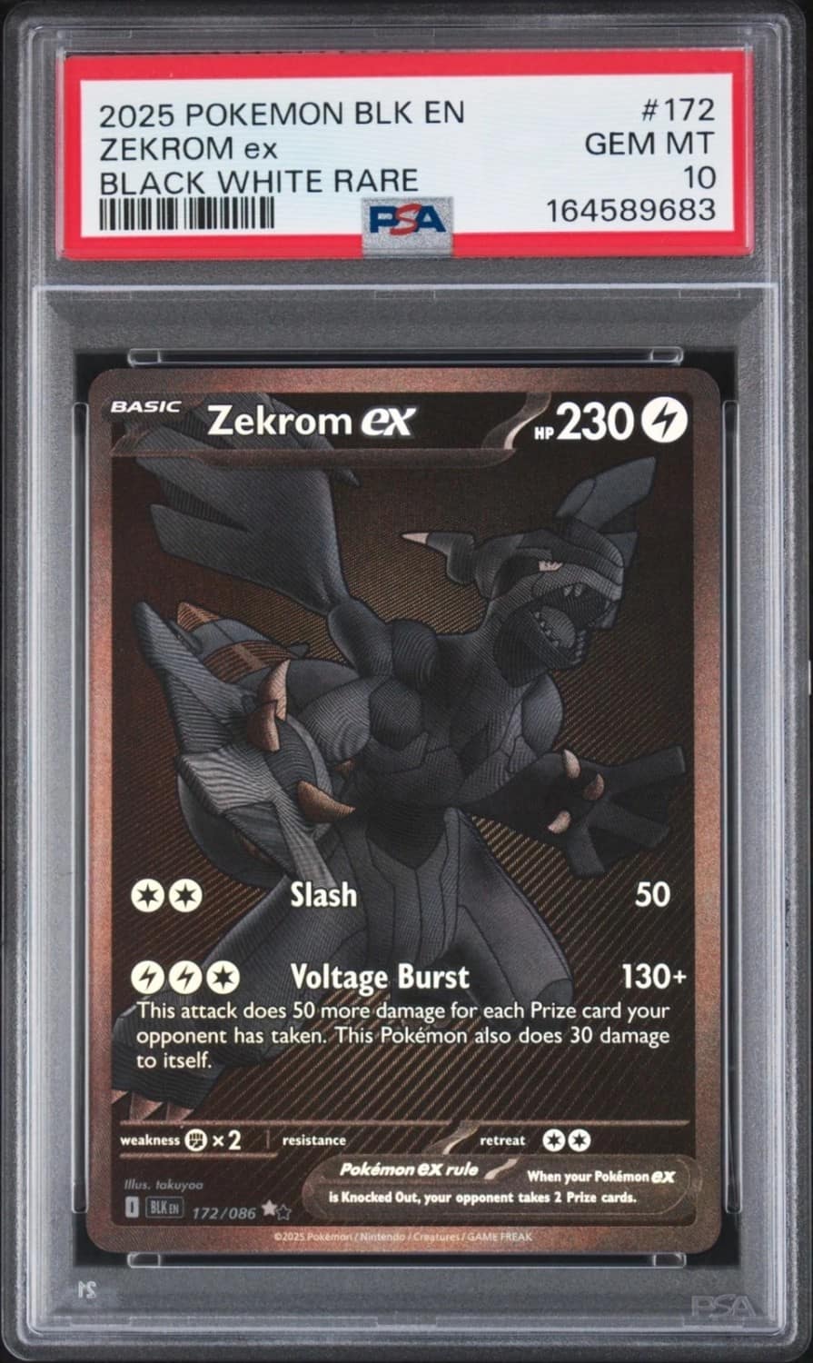 Zekrom Ex