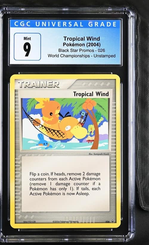 Tropical Wind