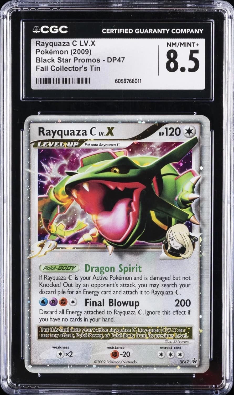 Rayquaza C Lv X