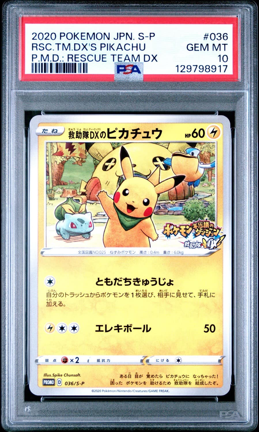 Rescue Team Dx'S Pikachu