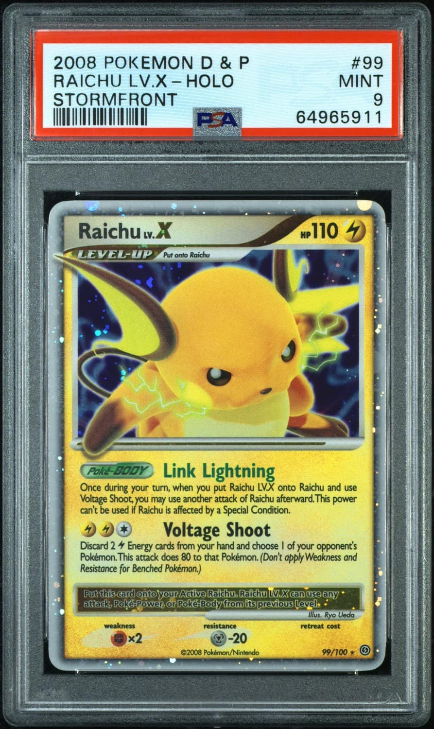 Raichu Lv X