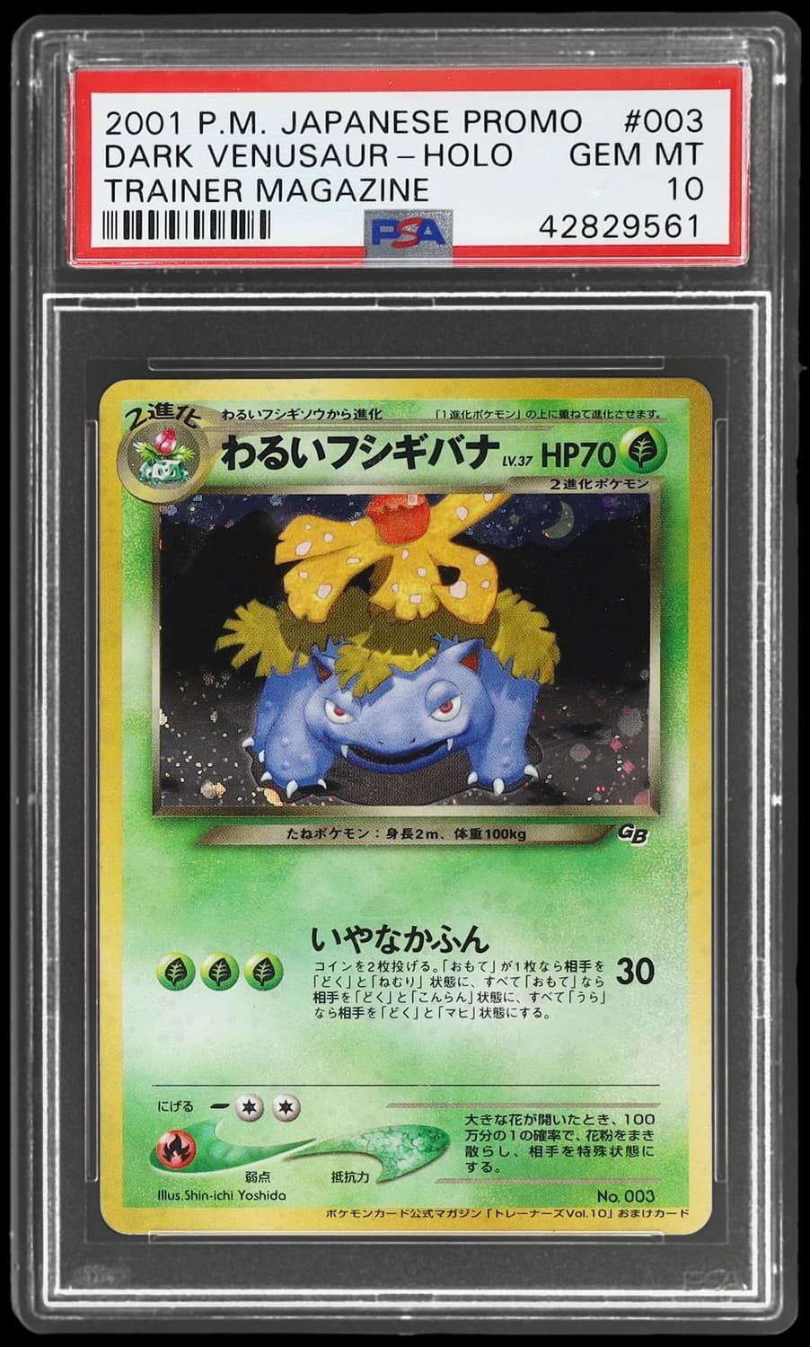 Dark Venusaur