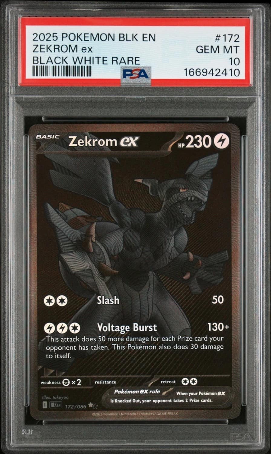 Zekrom Ex