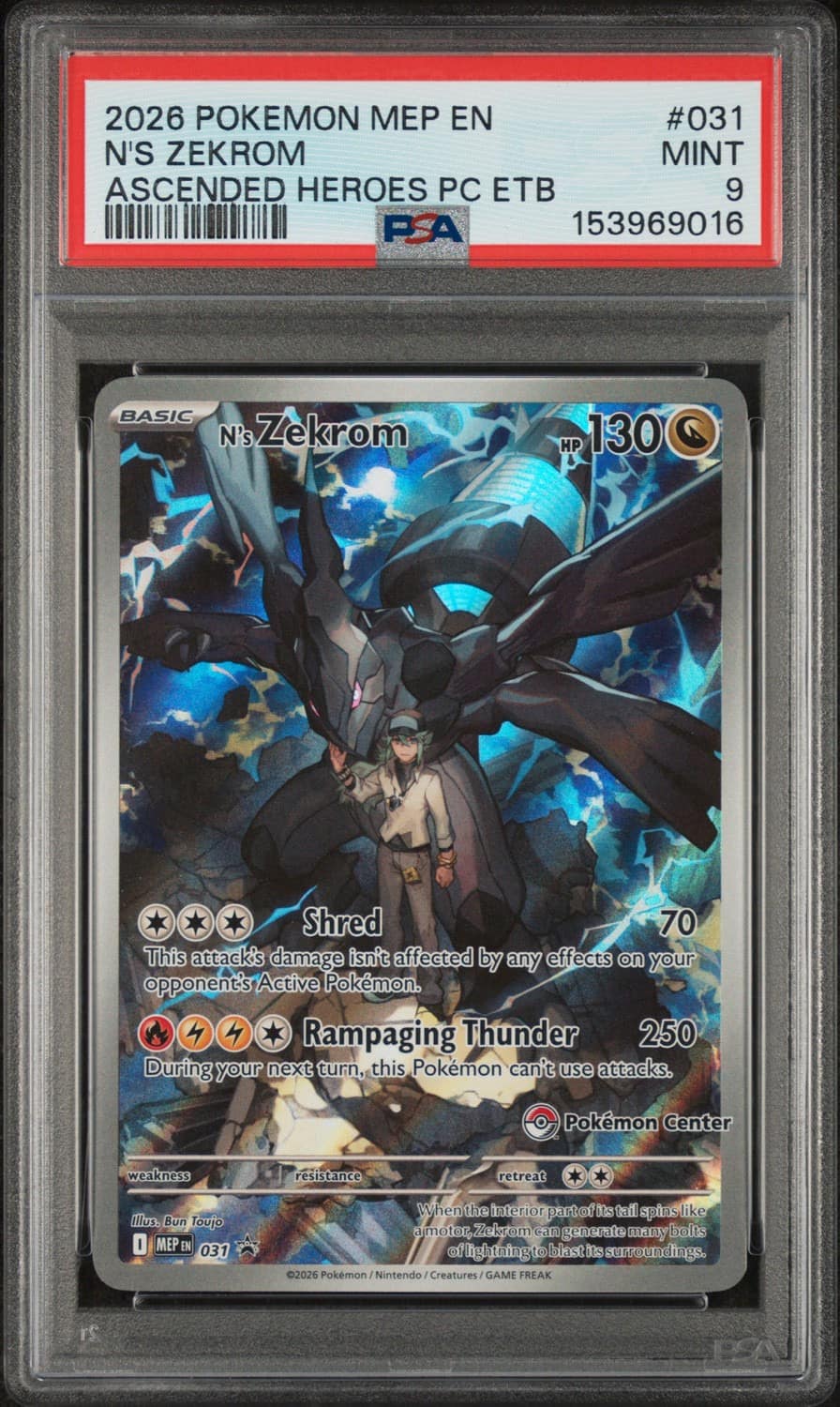 N'S Zekrom
