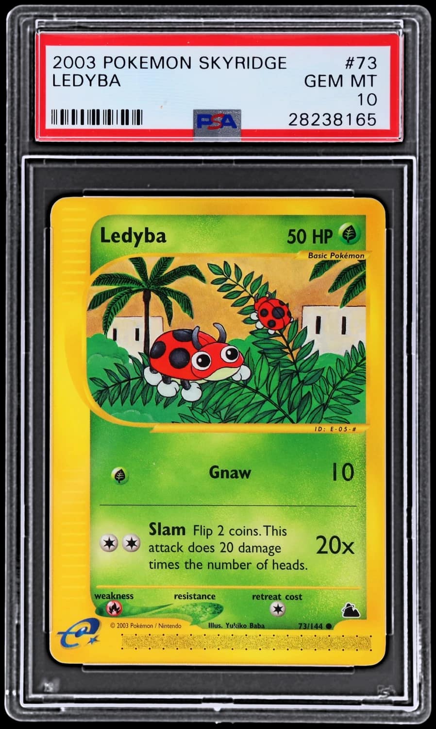 Ledyba