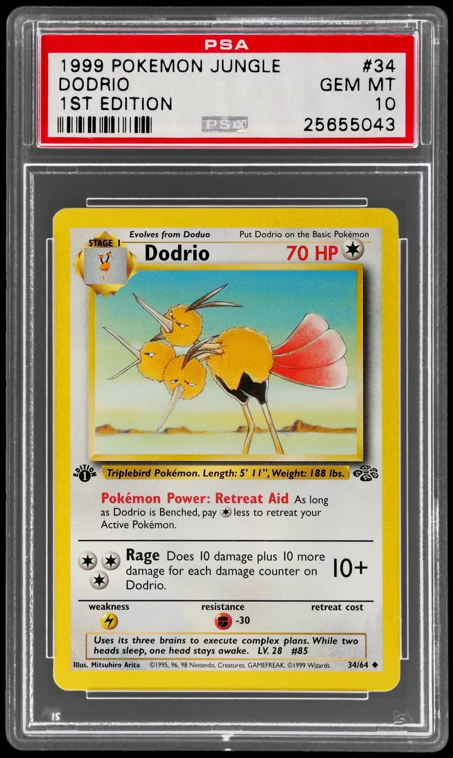 Dodrio