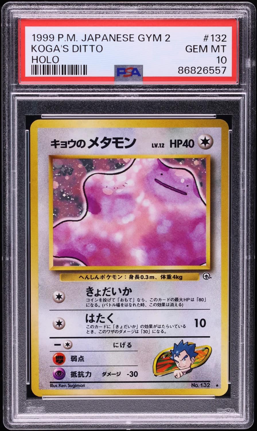Koga'S Ditto