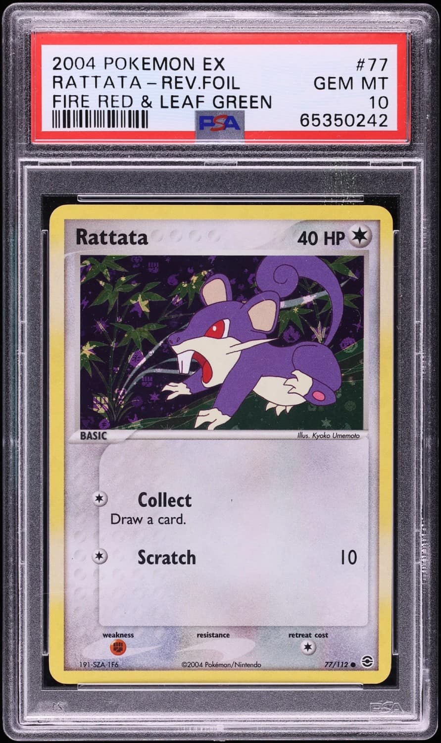 Rattata
