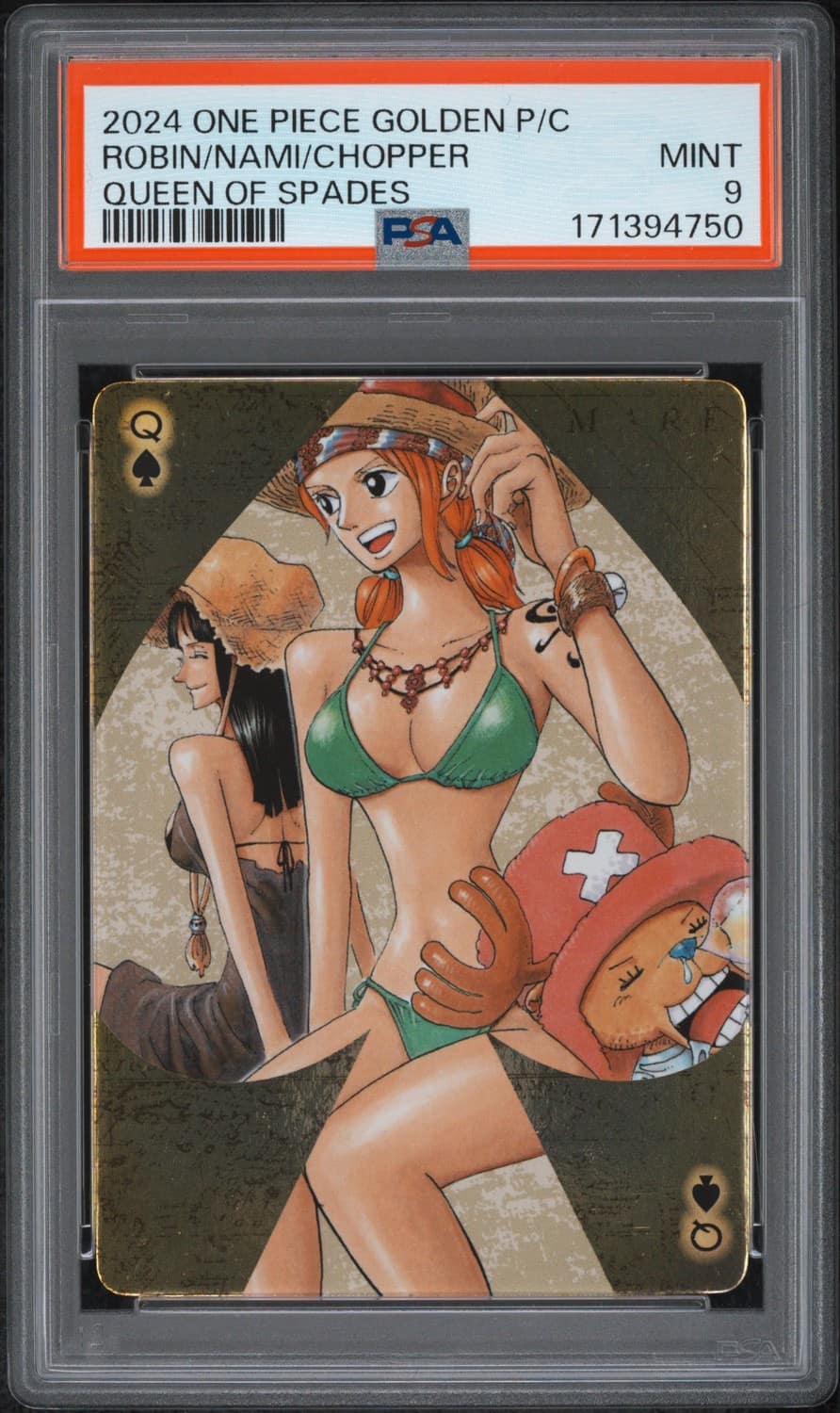 Robin/nami/chopper
