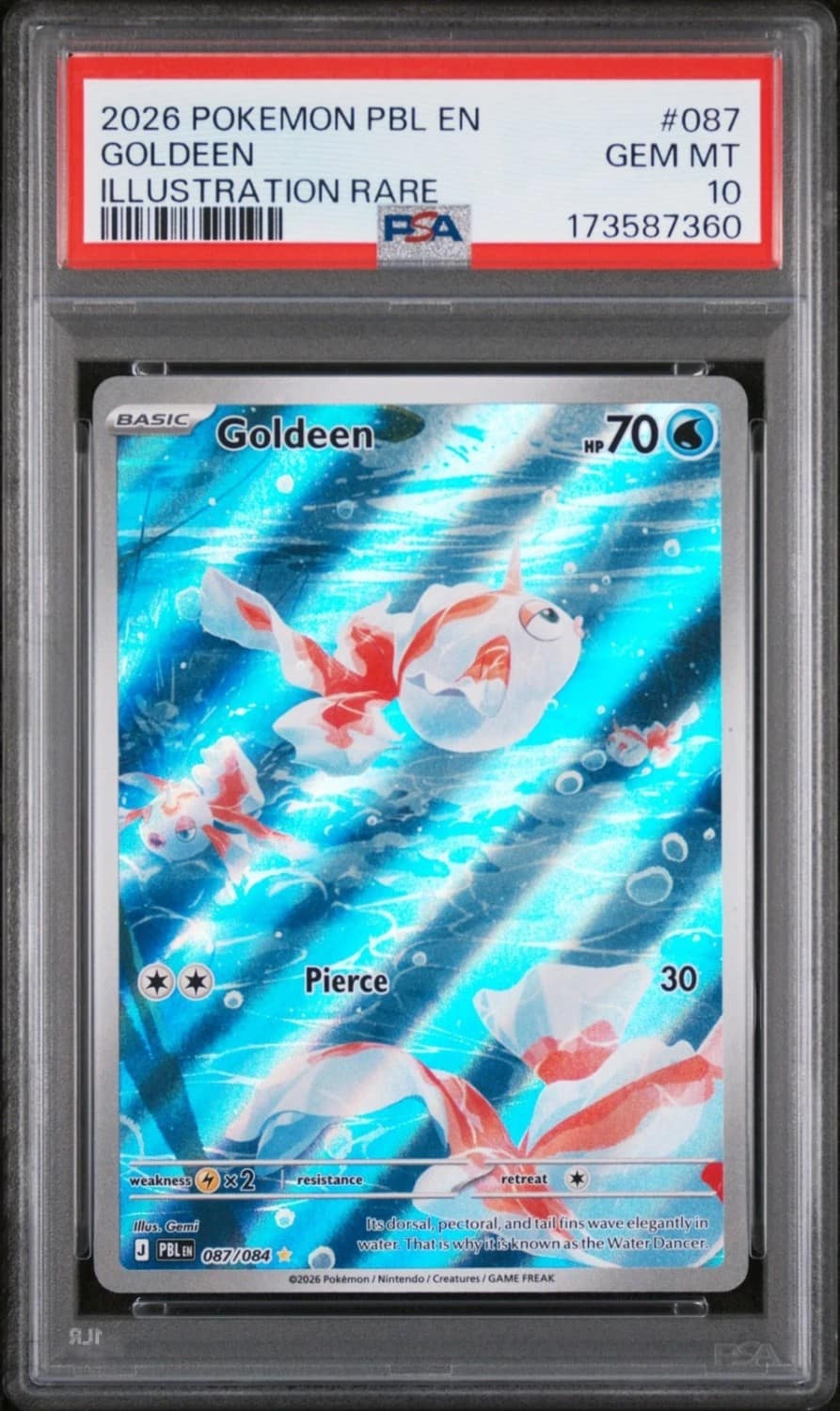 Goldeen