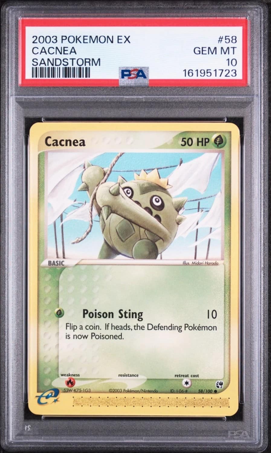 Cacnea