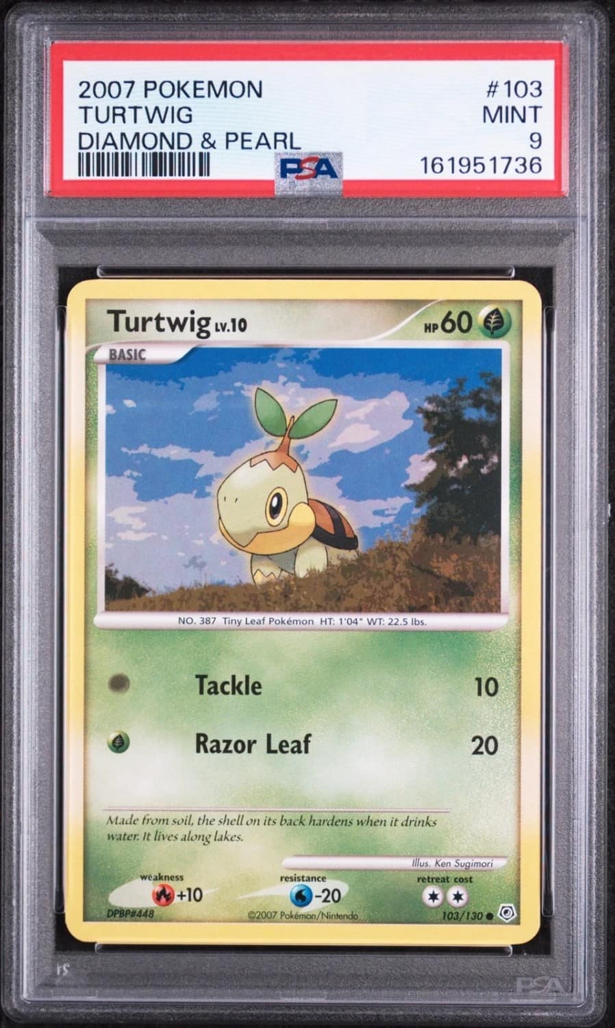 Turtwig