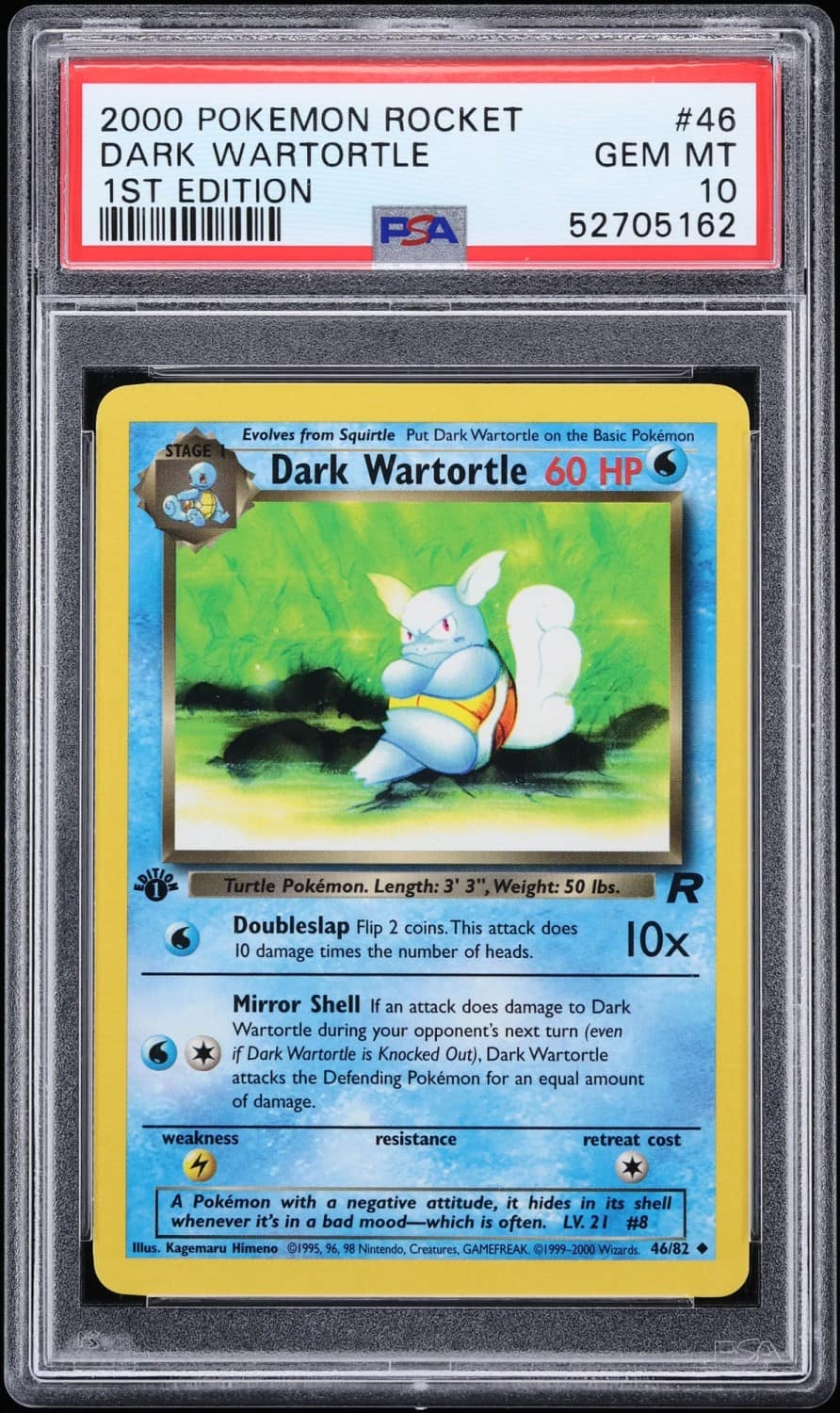 Dark Wartortle