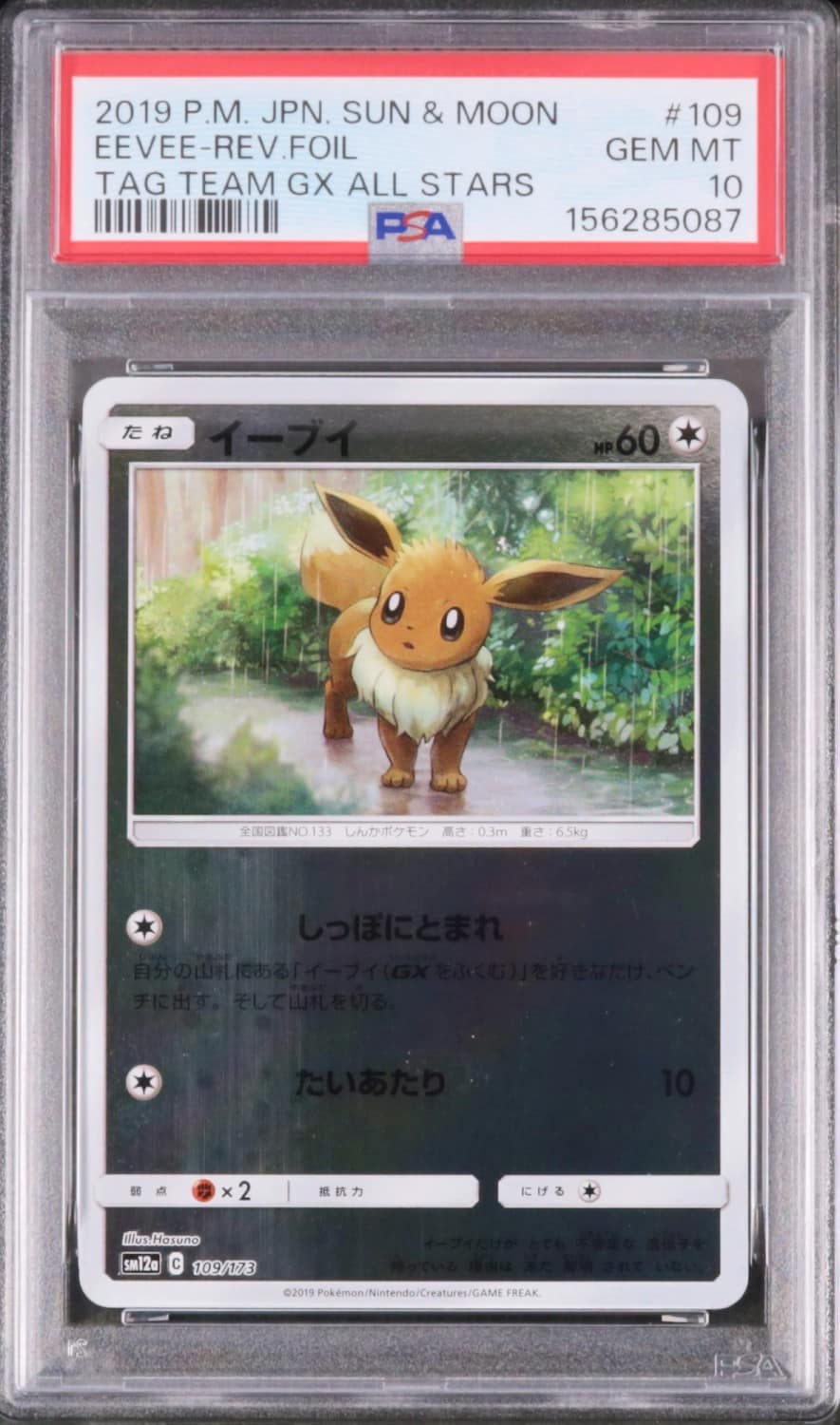 Eevee