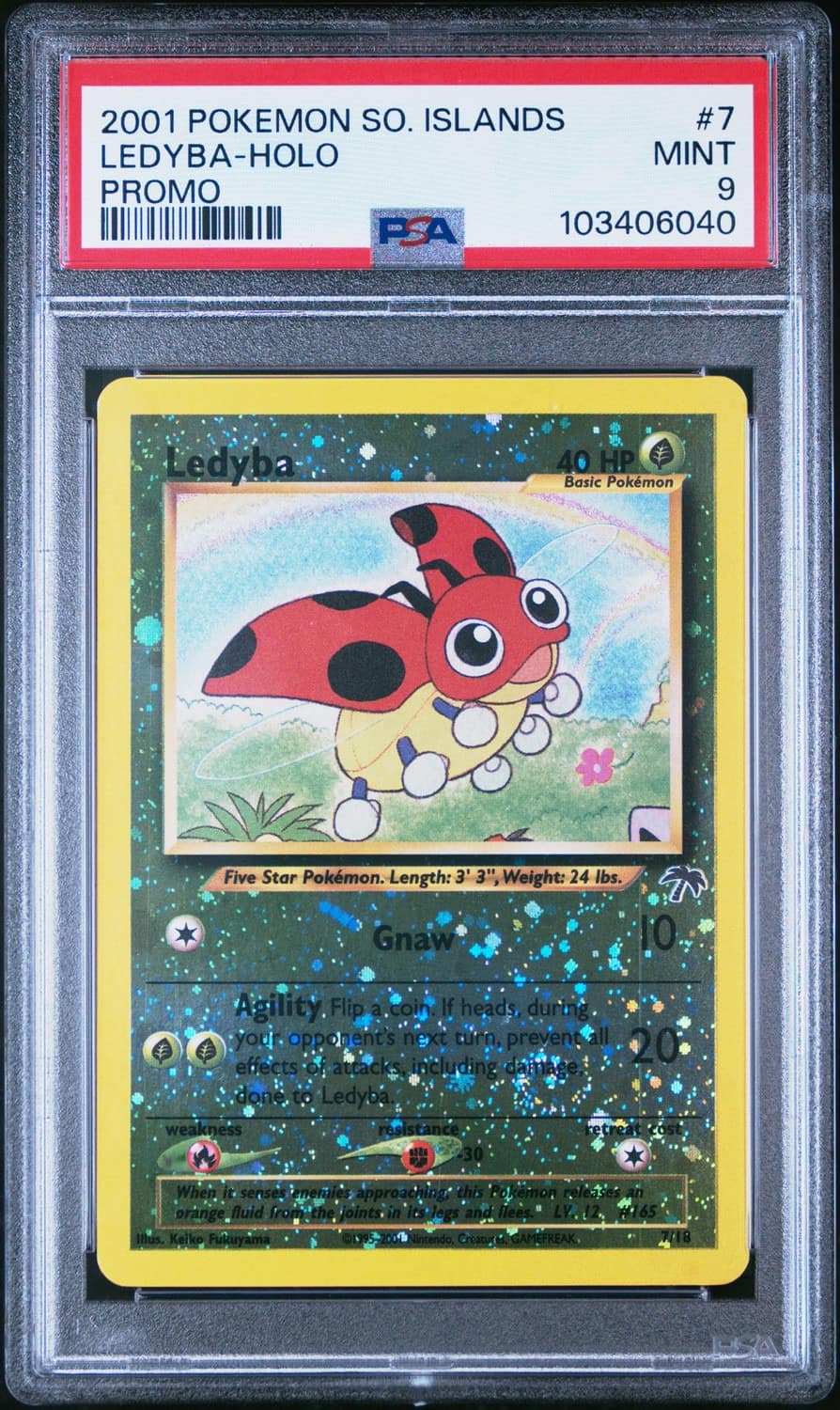Ledyba