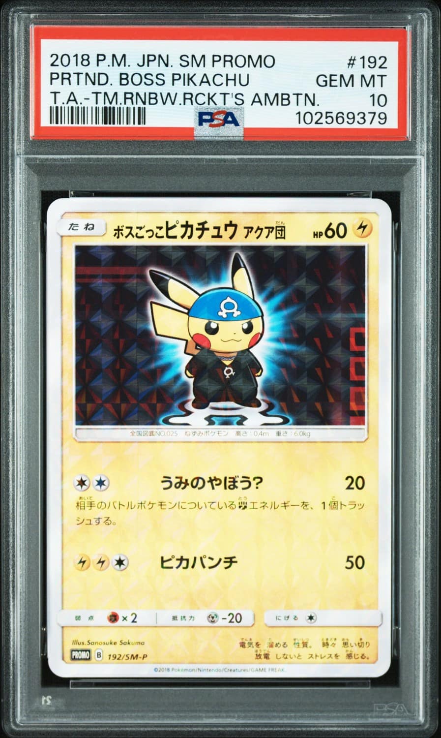 Pretend Boss Pikachu Team Aqua
