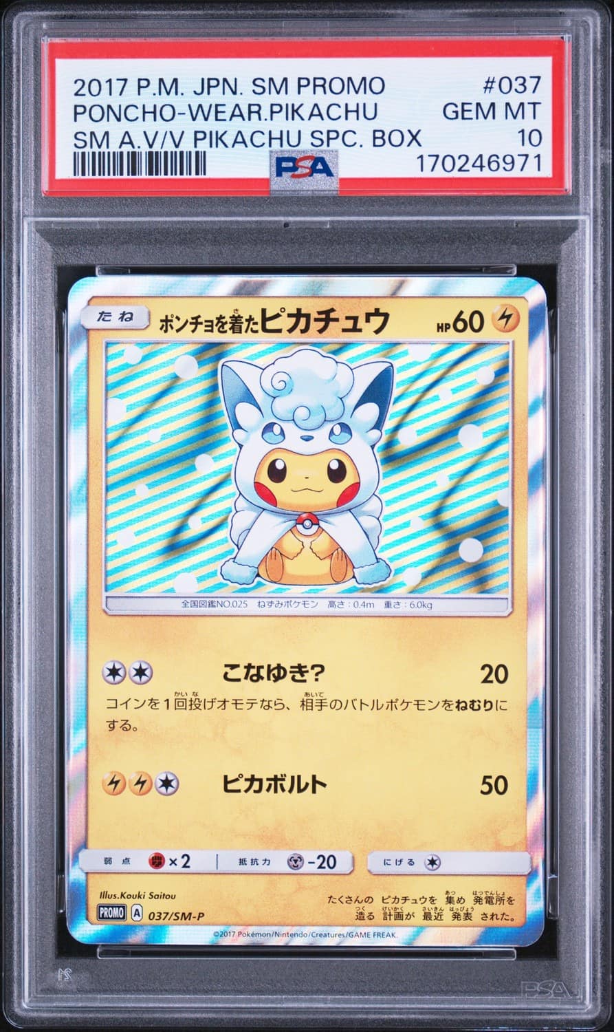 Poncho-Wearing Pikachu