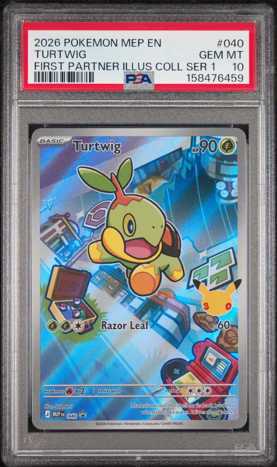 Turtwig