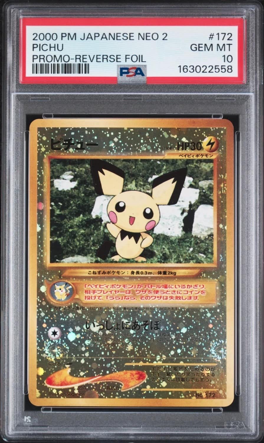 Pichu