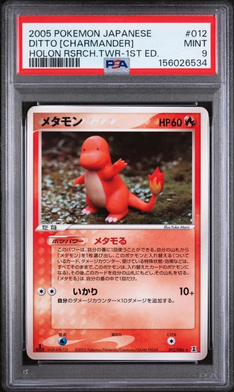 Ditto [charmander]