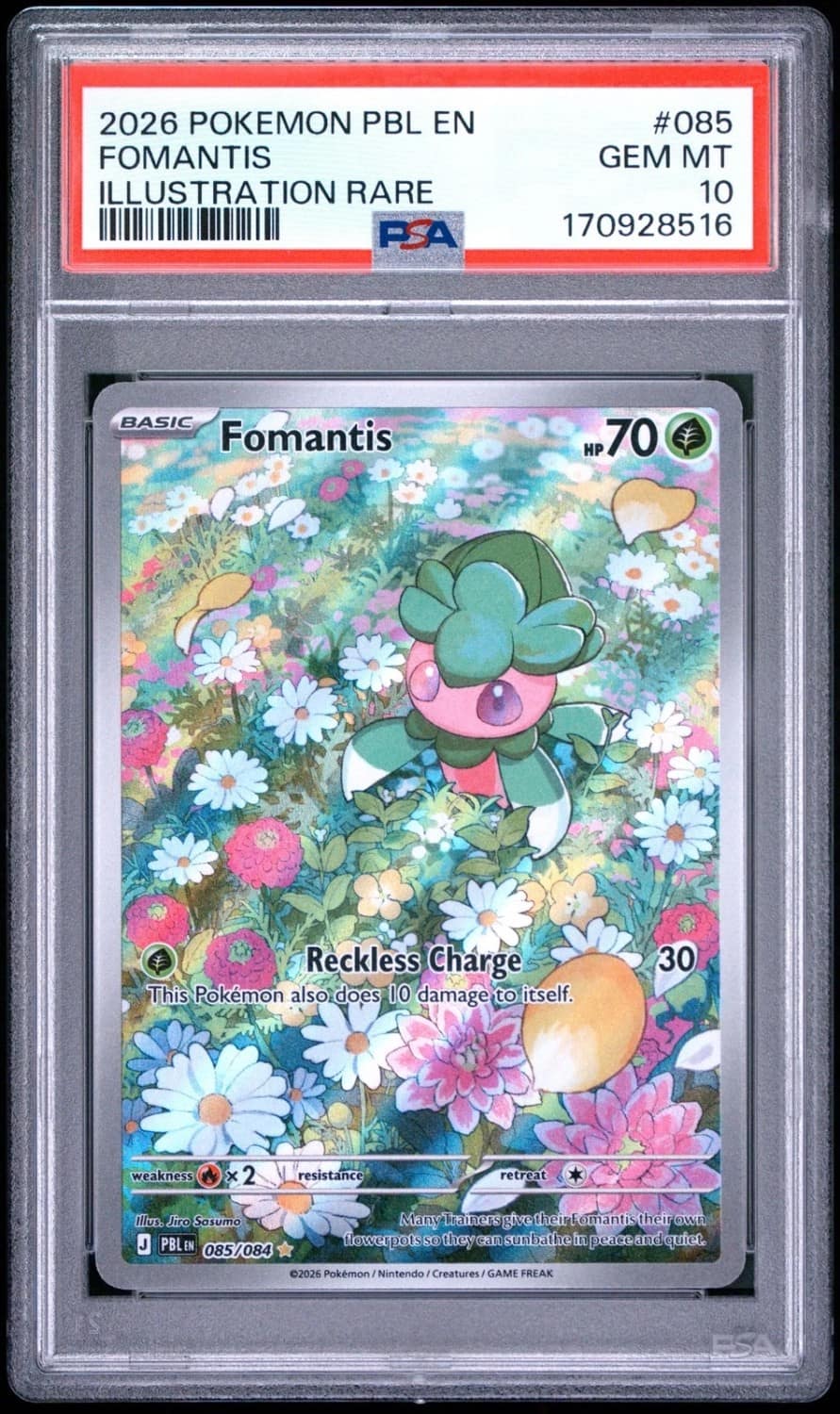 Fomantis