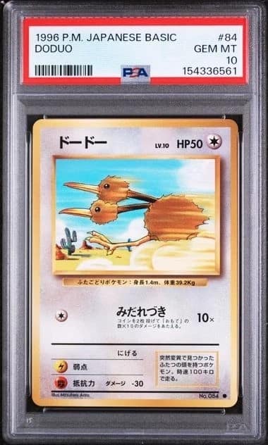 Doduo