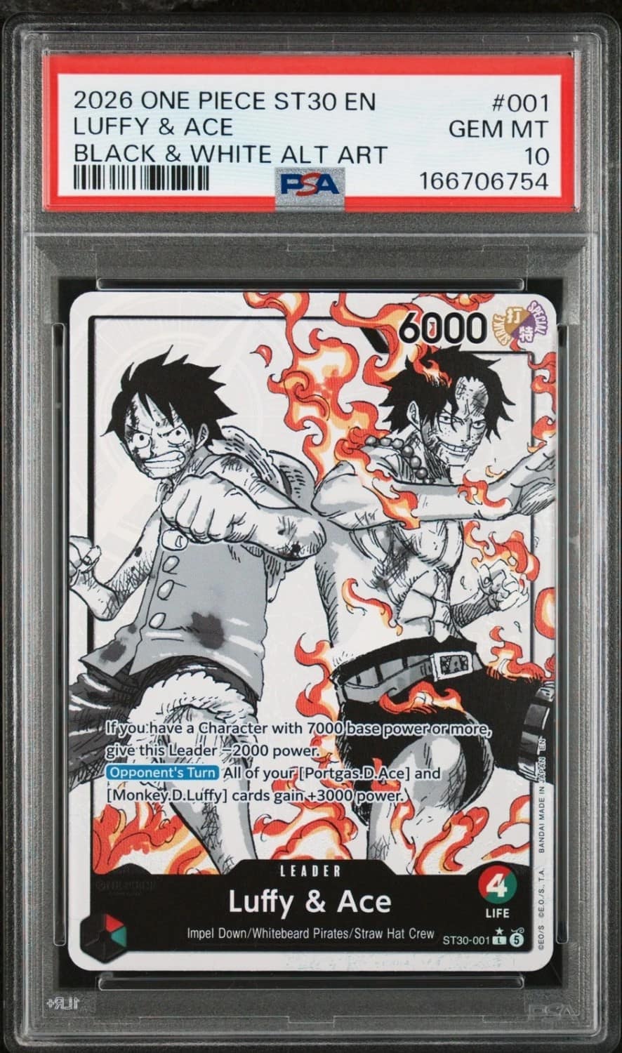 Luffy & Ace