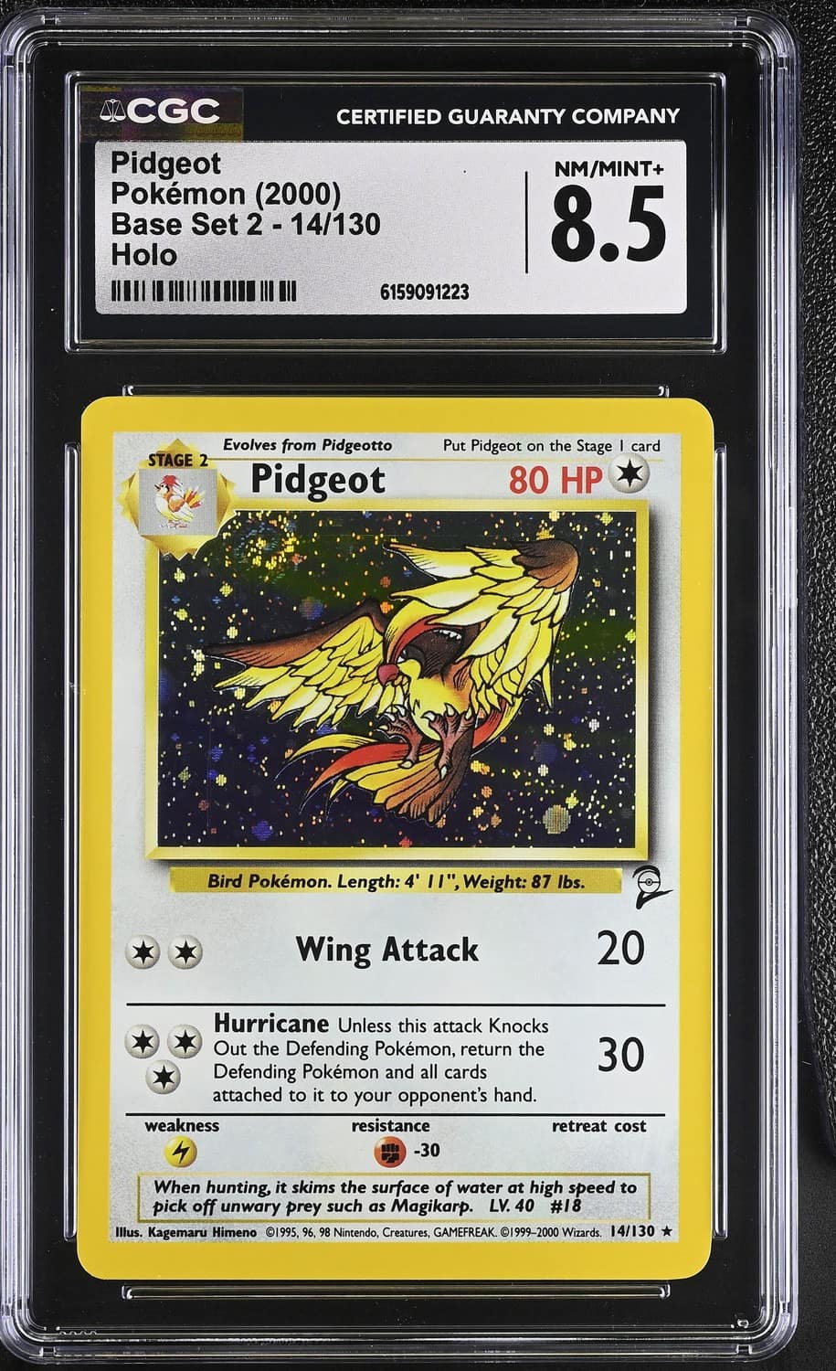 Pidgeot