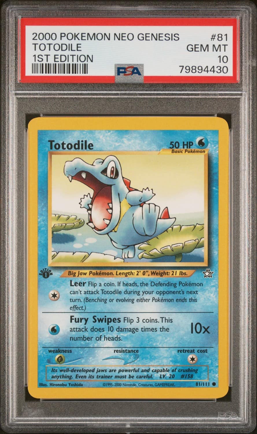 Totodile