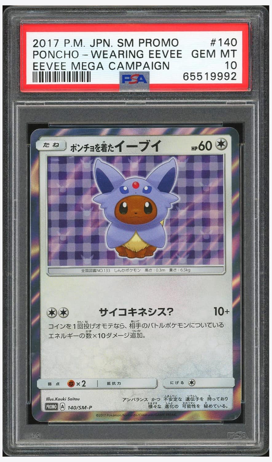 Poncho-Wearing Eevee