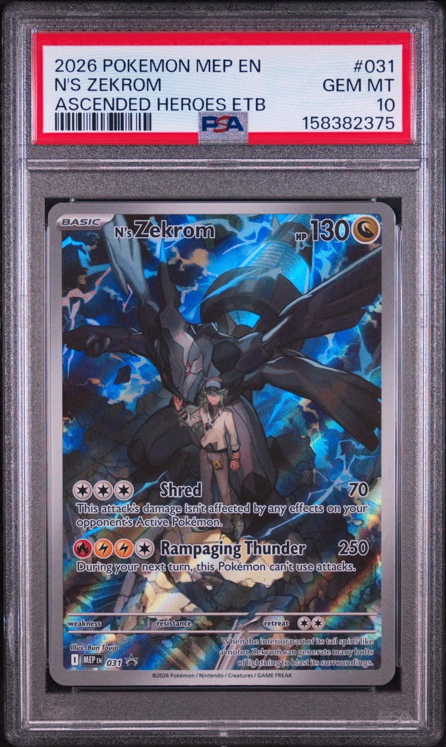 N'S Zekrom