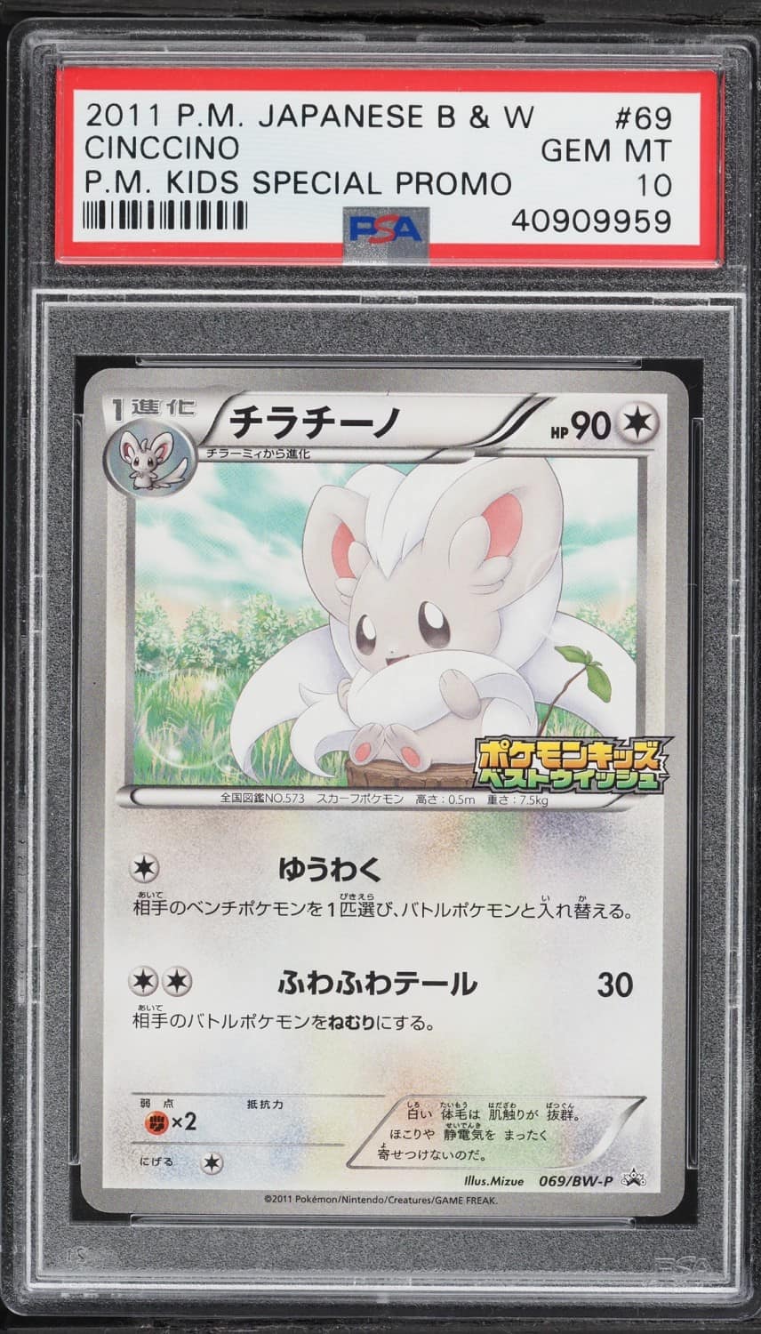 Cinccino
