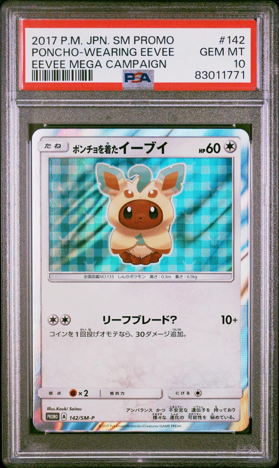 Poncho-Wearing Eevee